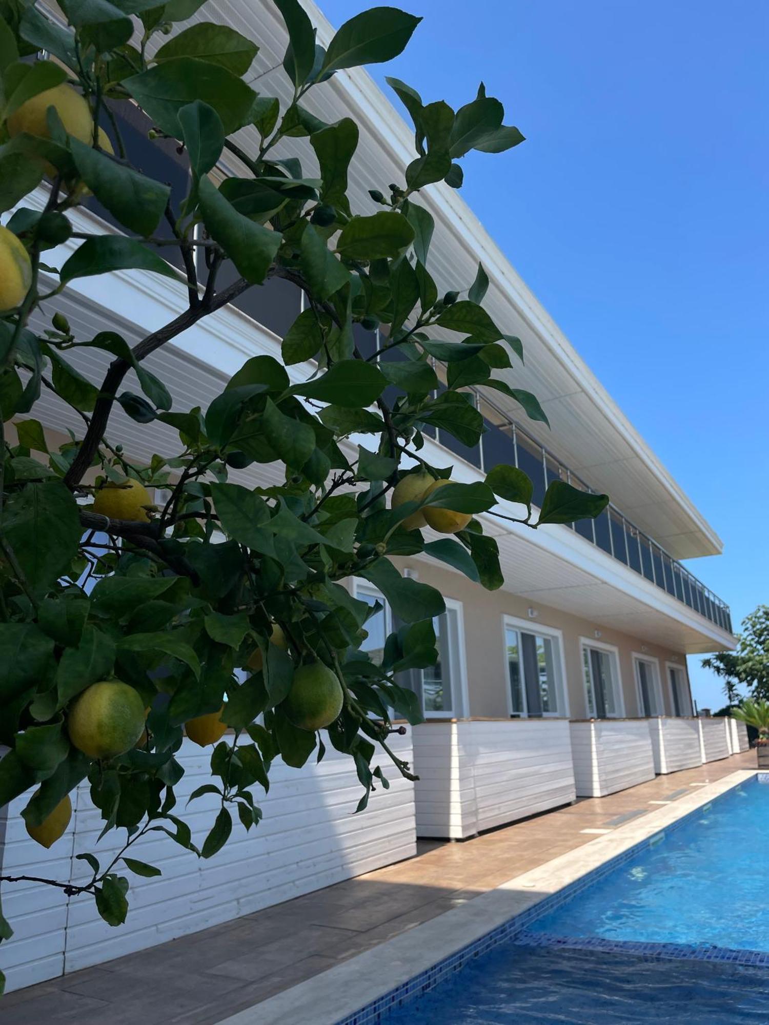 Gradina Holiday Szozopol Kültér fotó